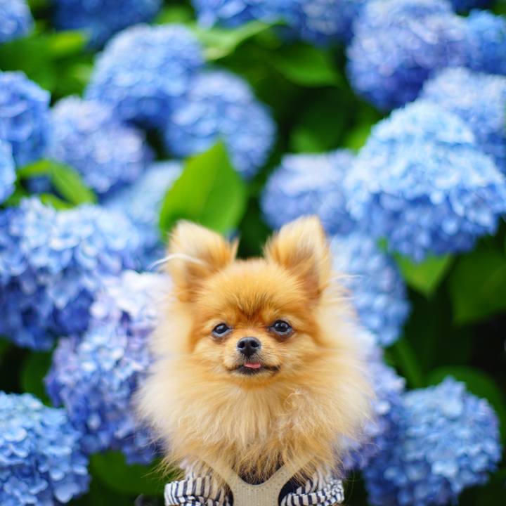 33f0552d bfe1 4184 990b 51a753934376