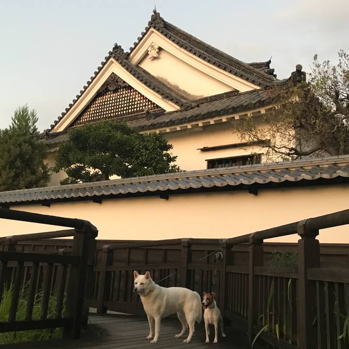 33f0e748 d6f4 4815 8398 f7e6f1ff695b