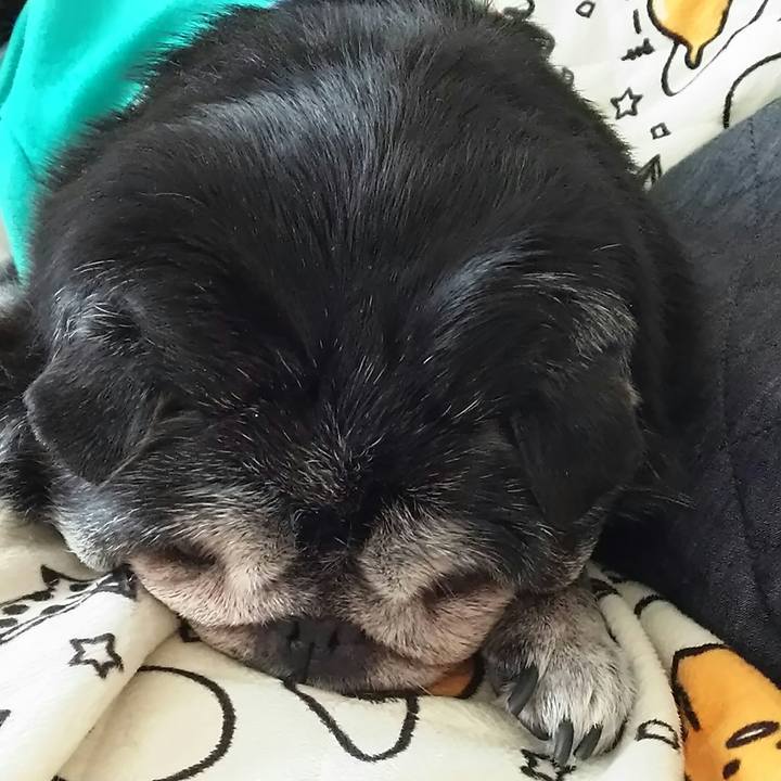 33f207e6 131d 4f94 925a 327c18ff4d13