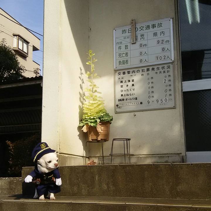 33f288a4 5842 40e0 bd31 1d71f1154ff8