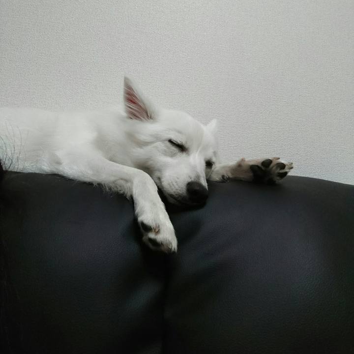 33f29185 61da 47da b600 a94ffa984899