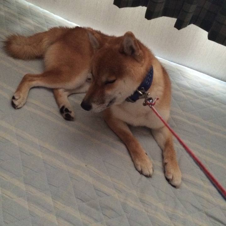 33f3102b 51af 4add b906 2f8621dce194