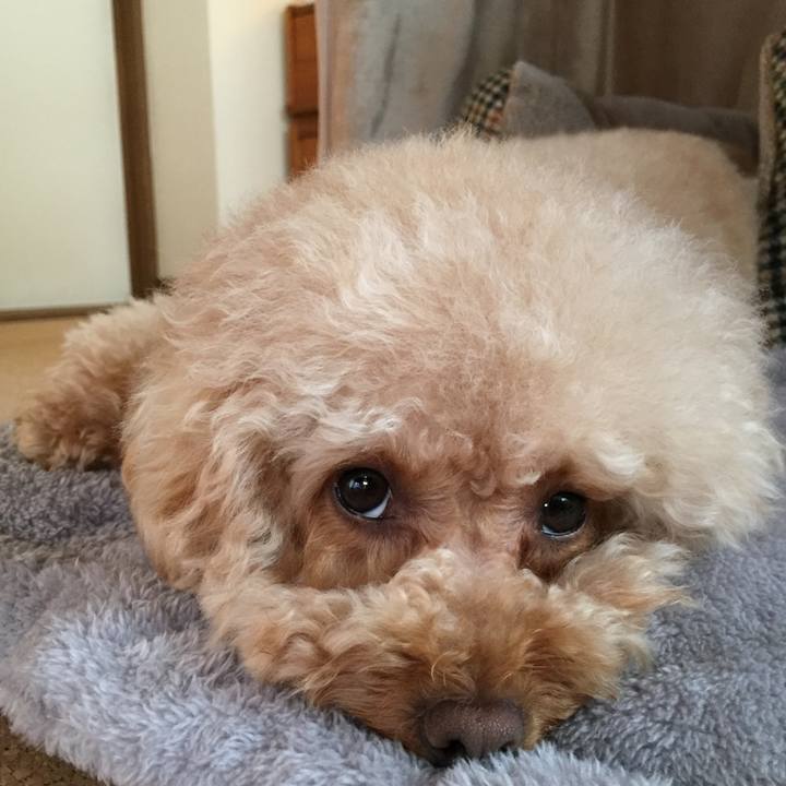 33f397e6 b134 4997 80fc ba73befedf86