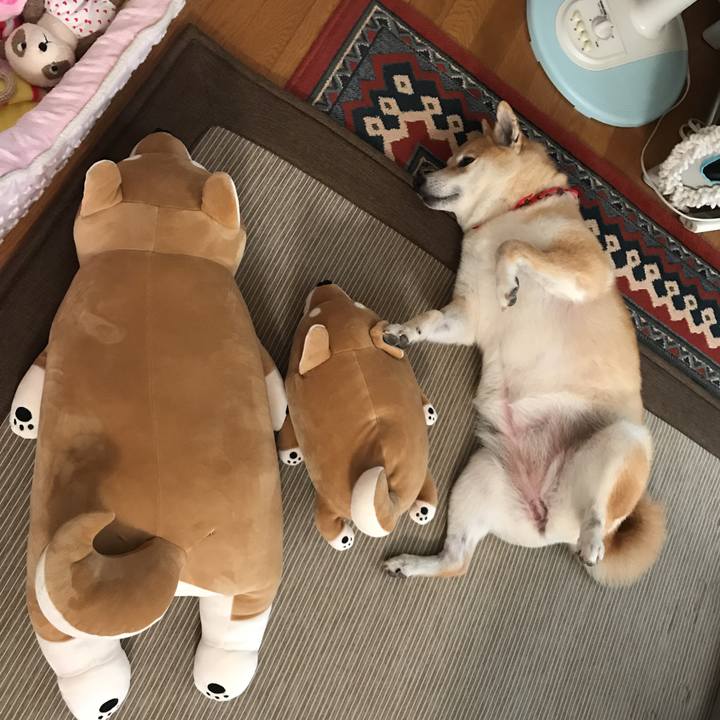 33f39bda f23d 47c9 82da ca15f2e7026f