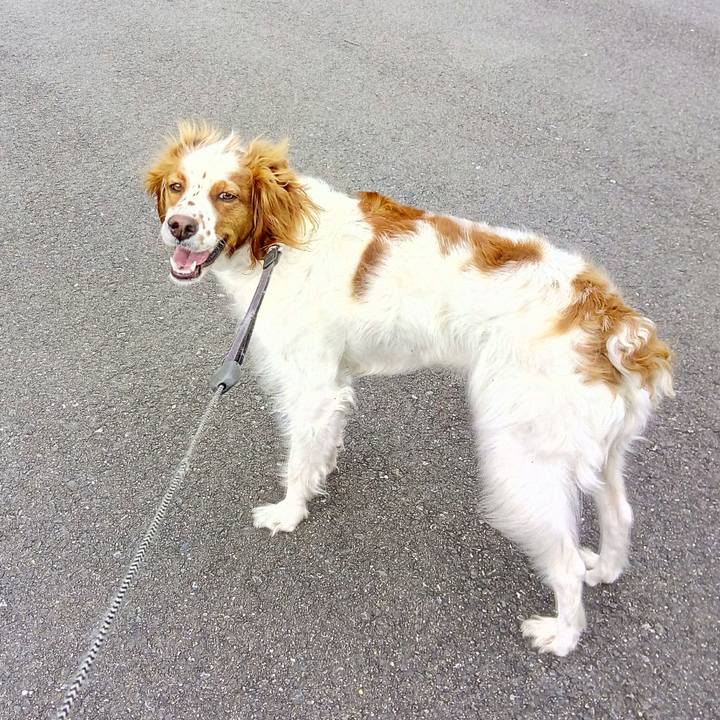 33f4aeb6 9940 43d3 9274 8aa17cfcc487