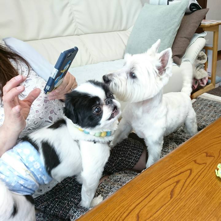 33f57e82 ad7f 4819 8f55 e6101441479f