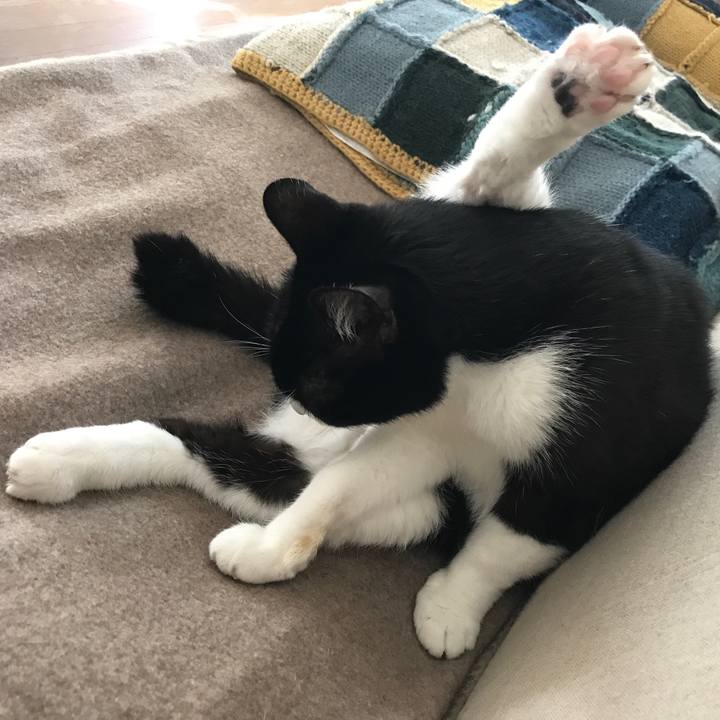 33f6443f 1eaa 44f8 a311 53191c0fc463