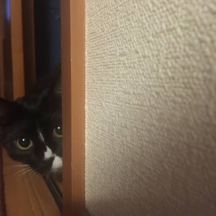 33f6563b 0927 4965 9a8f c59c9408679e