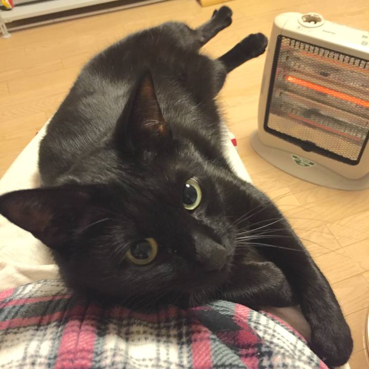 33f6fb58 fd3e 459a 878e 34fde7977695