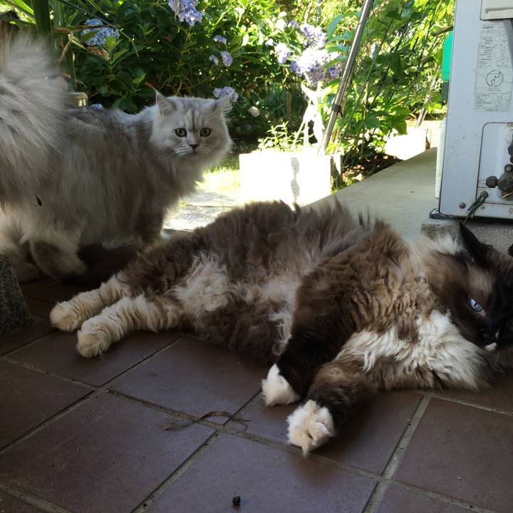 33f724f9 c06e 4d1b 8621 ec9c8a3abc4a