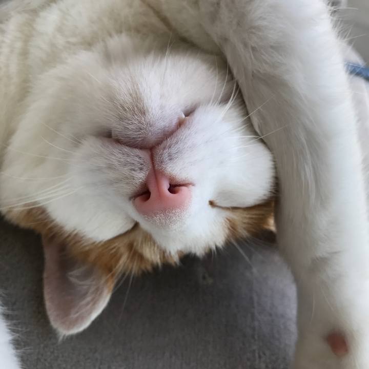 33f73cc7 e39b 4868 bc5d 4653bd88fe86