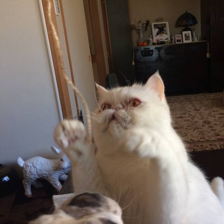 33f7eb3b 39fb 4cc8 ace5 5b7d7b0921c0