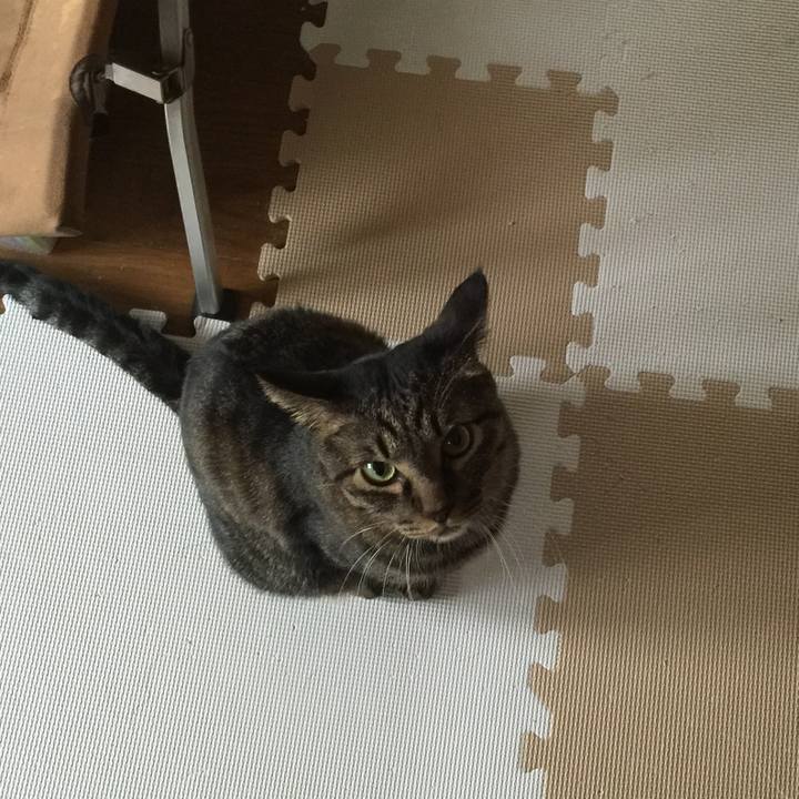 33f82a40 660f 4b18 a2b3 3a9192331e66