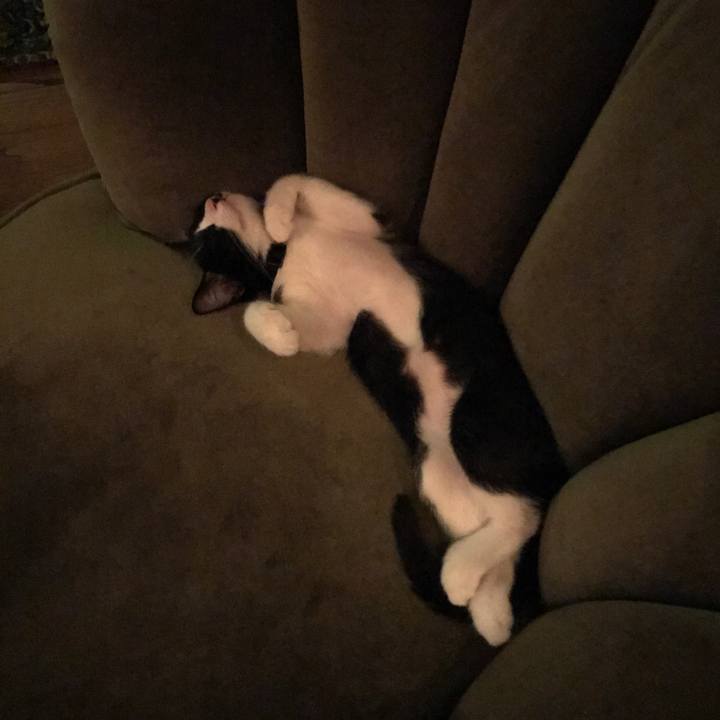 33f881bd 9120 4e45 a34e 2a4521a80527