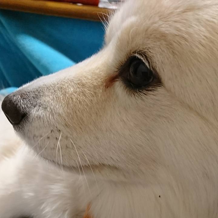 33f8d031 c2ef 499d 9a34 b05328ef8b59