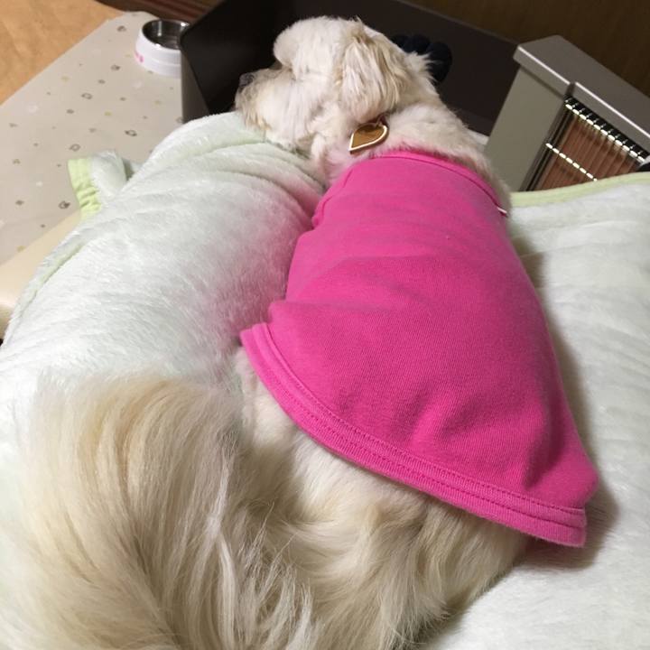 33f97479 5dff 4528 abed 9a362999a888