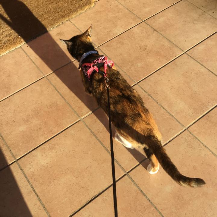 33f992eb 3dd8 4b5c b6e9 4e06b0d31765