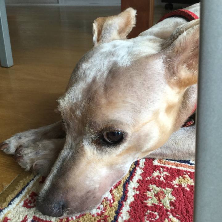 33f9aabf 435f 4d52 8bb1 80a0f53ac6a5