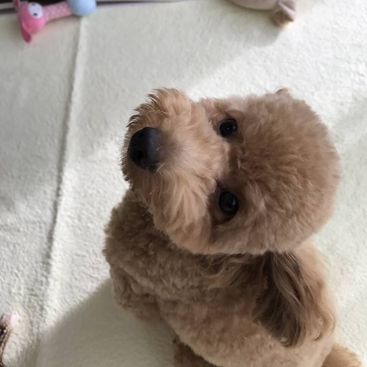 33fa0617 3943 4484 8114 915cc9aff87b