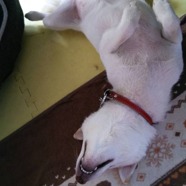 33fa252a 73af 4150 8148 05d23bcbd697