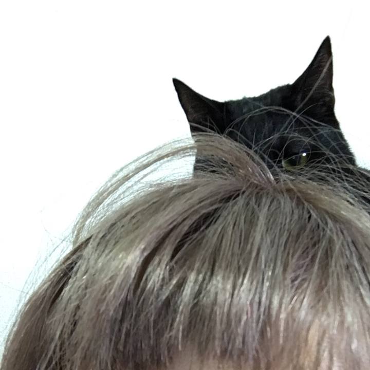 33fa4d79 dc51 4240 8f5f e068b5685dd0