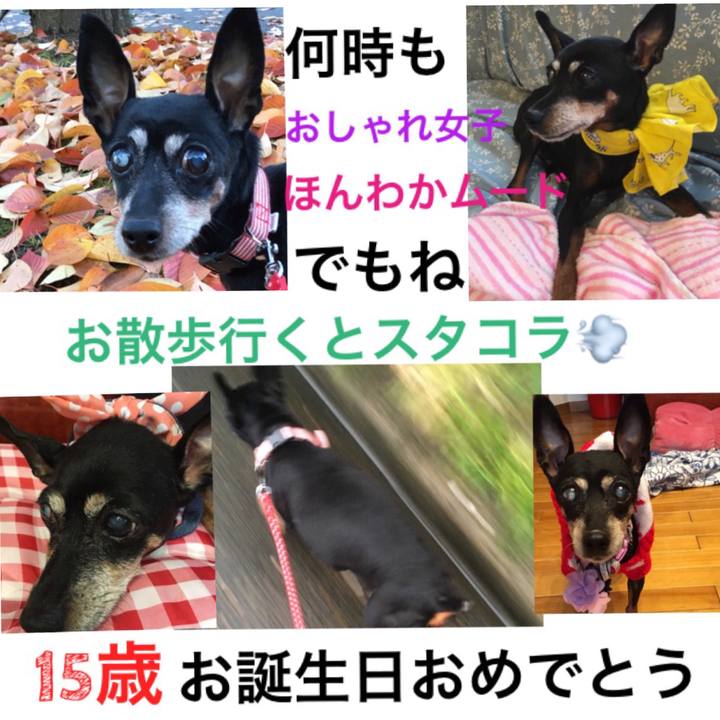 33fa7272 a8ce 4021 a5ec 67d012d2bc69