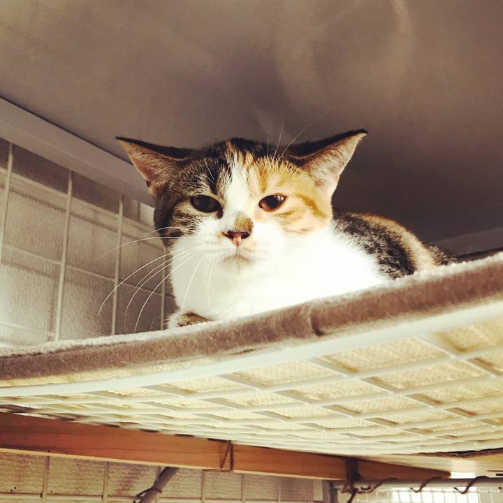 33fa7f99 974c 476c b586 7548342b6fc1