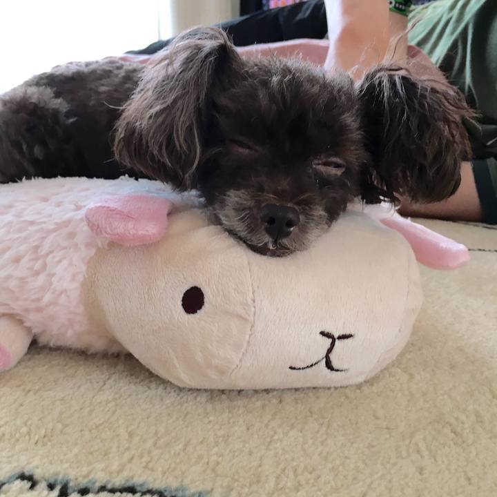 33fb4e1c 258f 4e18 a9c4 9177ab69210b