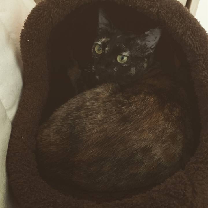 33fb6345 b44b 46ff bf48 0c56205a01d6