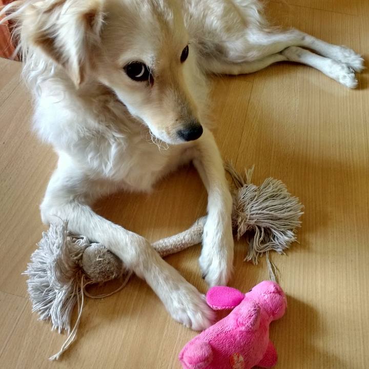 33fb8c3f 4b84 4da9 afa8 0b4a1f53dab8