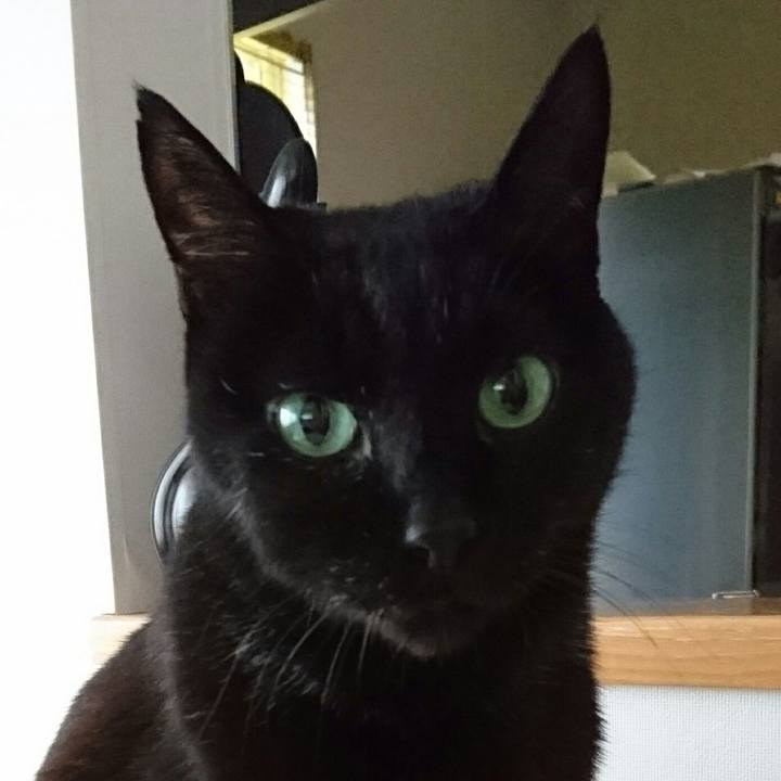 33fc3b3f 42d0 42ec af54 5a90b622610a