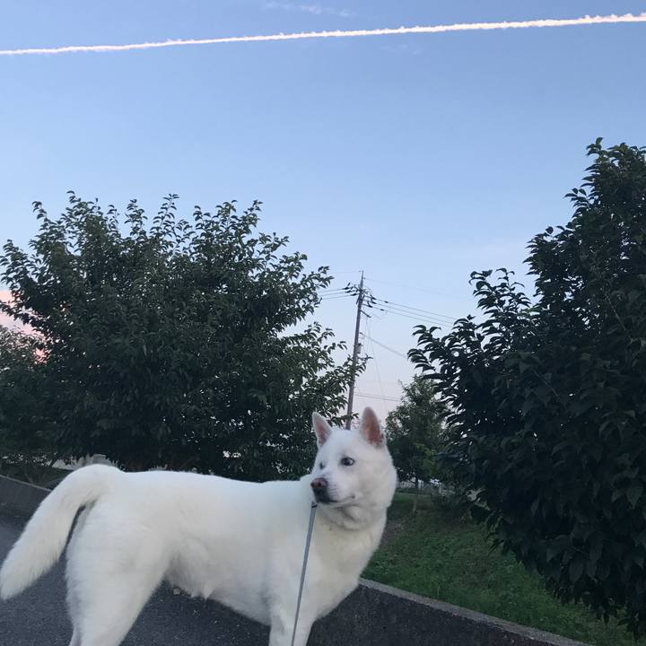 33fc5db0 c44b 4075 9f06 38c99ec93827