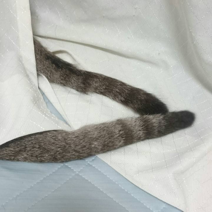 33fc7655 bd30 4afe ac3e 4c784621cd0f