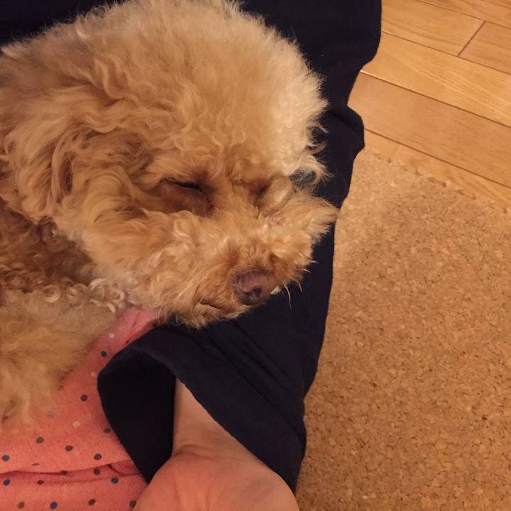 33fca4ec 2688 4c65 894c 8b654e6ccf79