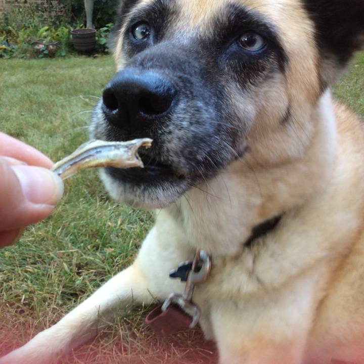 33fda5af 5b61 4ab0 8633 4d83efa6e66d