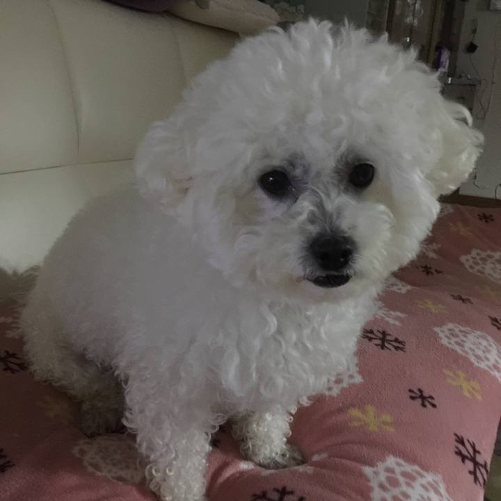 33fdd384 d02d 4851 a5de 859581bdc033