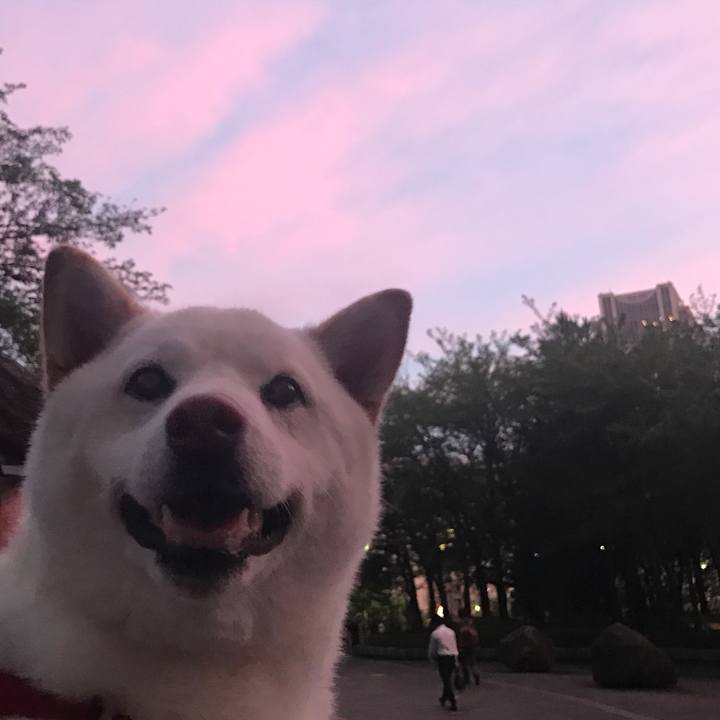 33fe629c 8c60 4c02 8246 328c18931d47