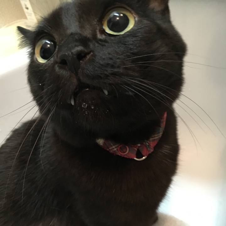 33ff37a5 4072 40d4 bafc 6b7a402e5541