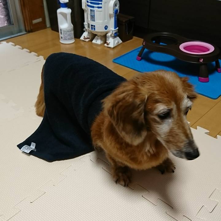 33ff45c9 b41f 44a1 b2cf 815b024c2120