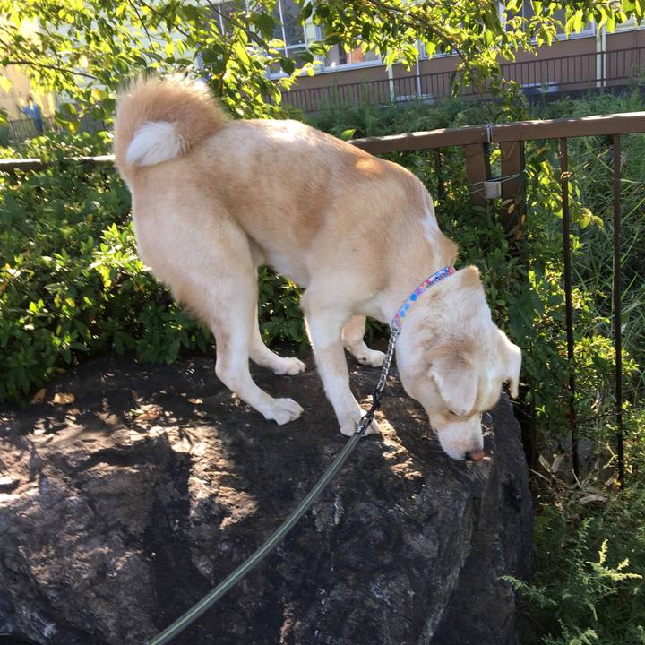 33ff8e0e cdf0 4a71 b75f f3ceae68b1a8