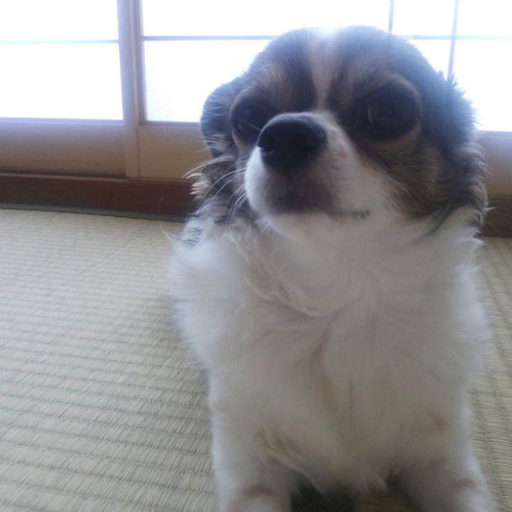 34008a45 2e1d 4709 8161 507373421ebd