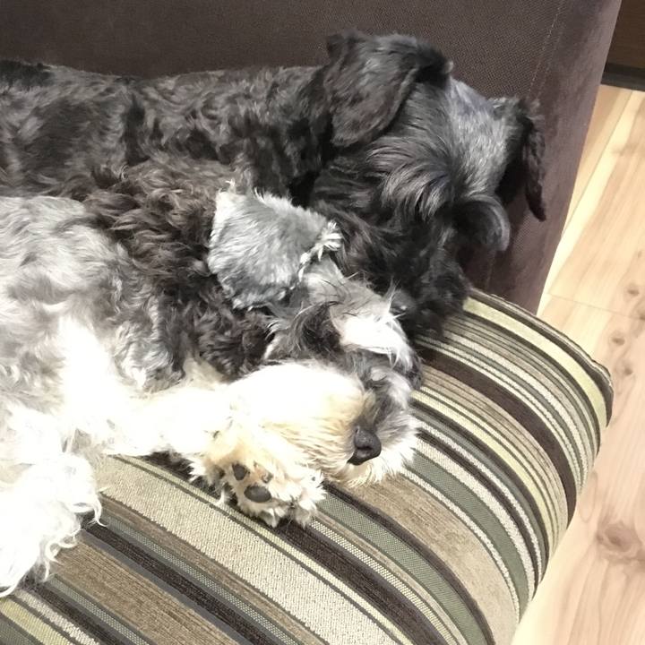 3400d0d8 df3f 4d5b 93a8 b93323928a19