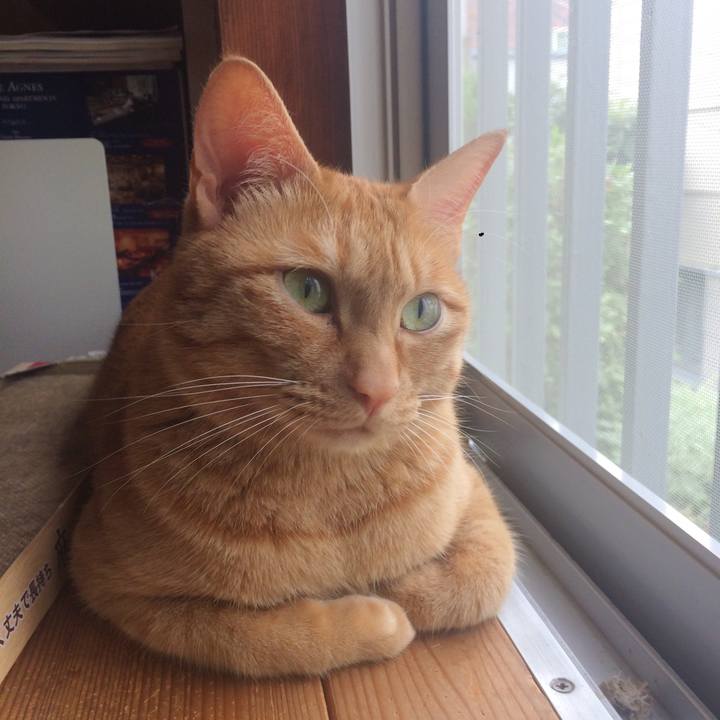 3401b8d4 1f4b 4a66 acc2 7ac62048d82b