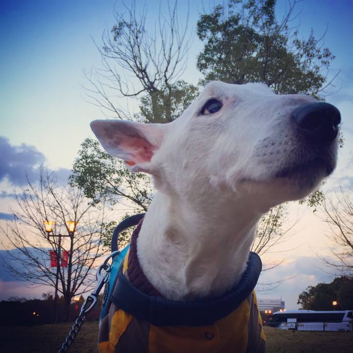 3401c4dc 27bb 4e47 8f82 af427bf47951