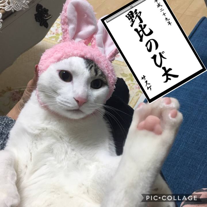 3401c60a 7b2f 46ff 96d0 200dfed52b69