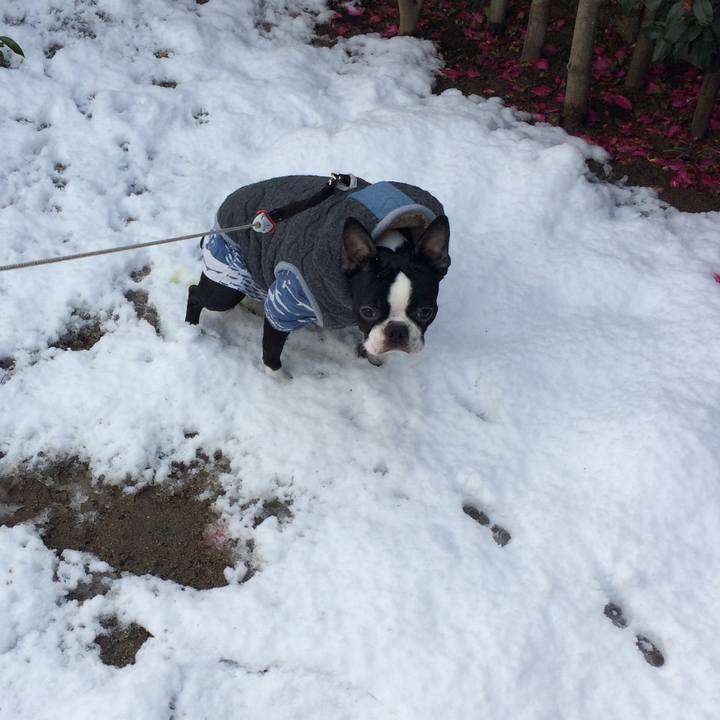 340211a7 967a 45bc afa2 f03d2cb788d5