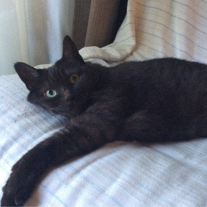 3402a157 b213 4a5f b0c6 e06401404412