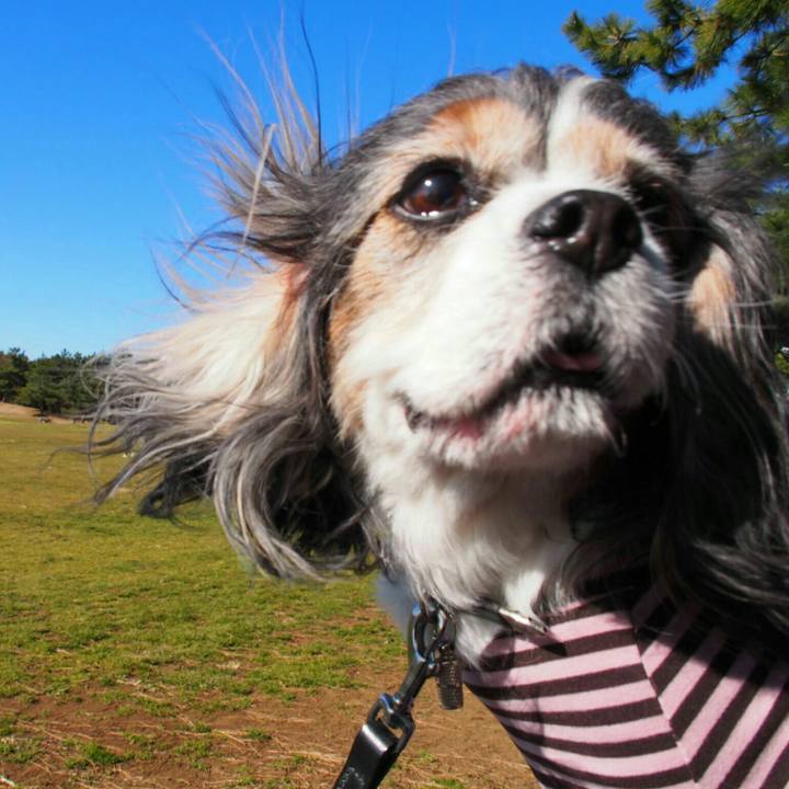 34037217 ae36 4b2a b5bb a0971596dba3