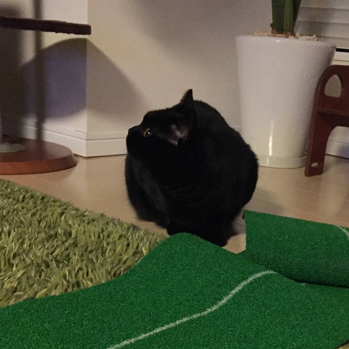 340427dd 823a 4529 a746 e6add8dae999