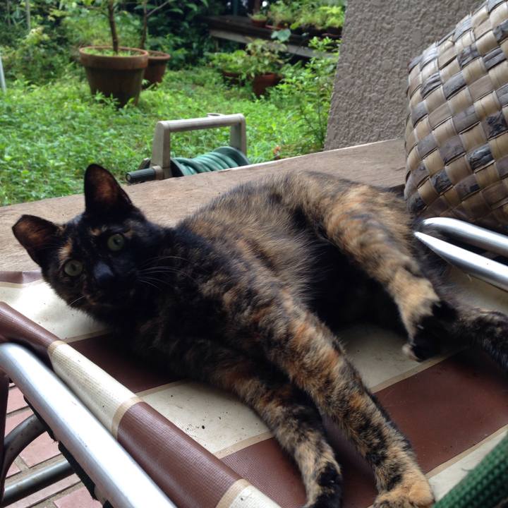 34056bc7 bc2a 4e0b 9c87 87ab9a523ea7